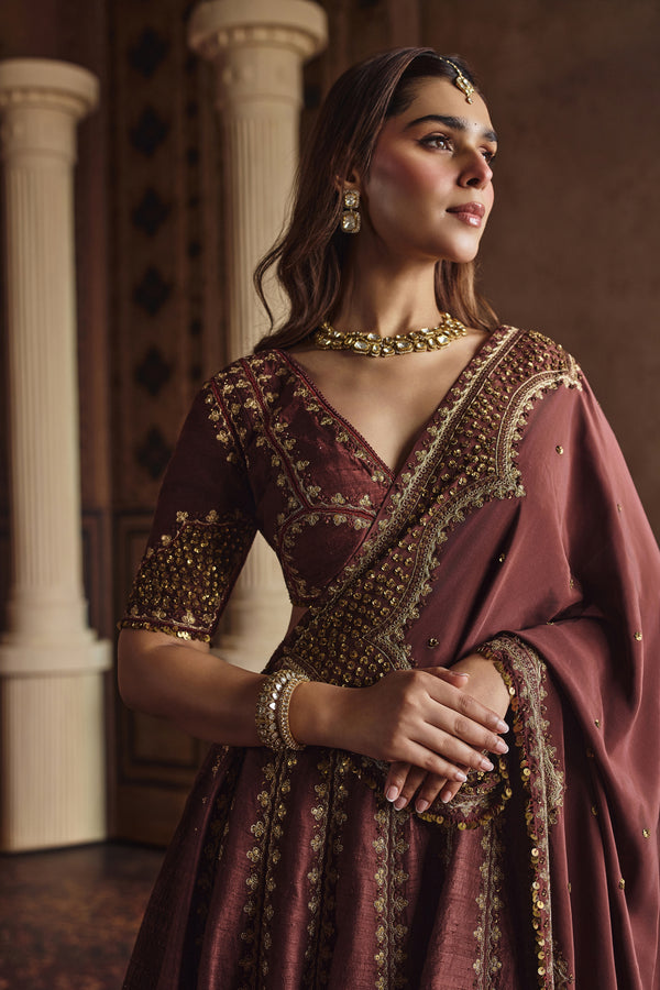 Deep Wine Lehenga Framed In Heritage Embroidery