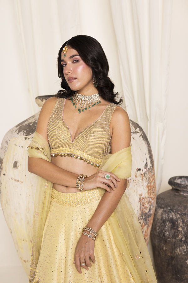 Dragonfly Butter Yellow Lehenga
