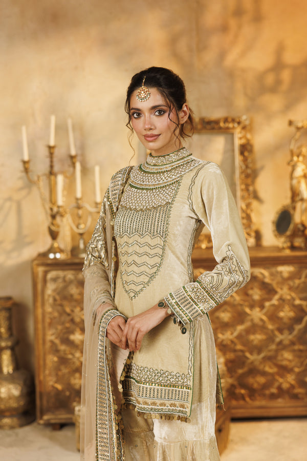 Velvet NH Mandala Gharara set
